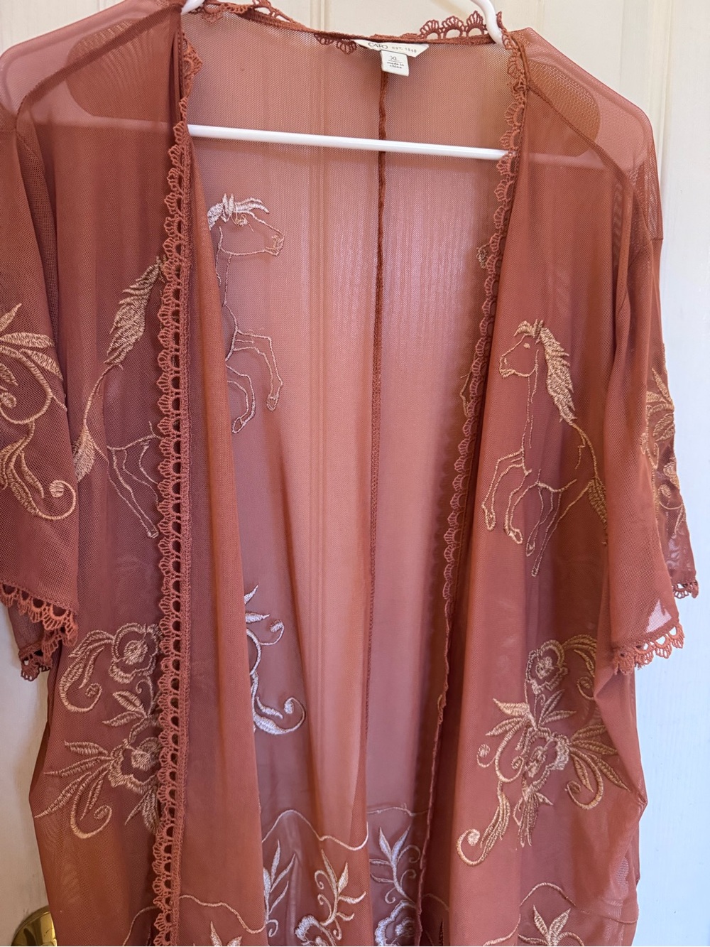 Cato Sheer Embroidered Kimono Robe in Rust Pink